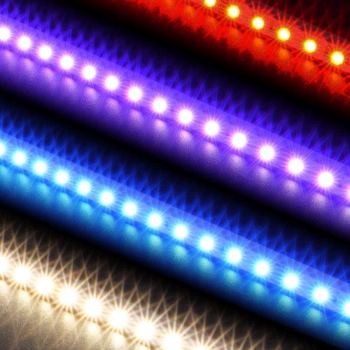 RGB+W 24V LED trak V2.0, TOPLA BELA